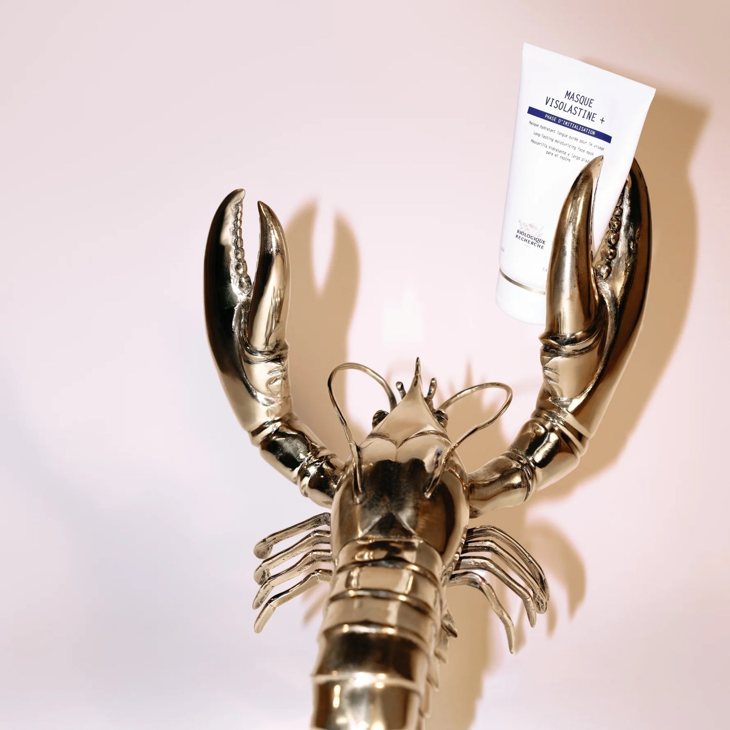 Masque Visolastine + Biologique Recherche