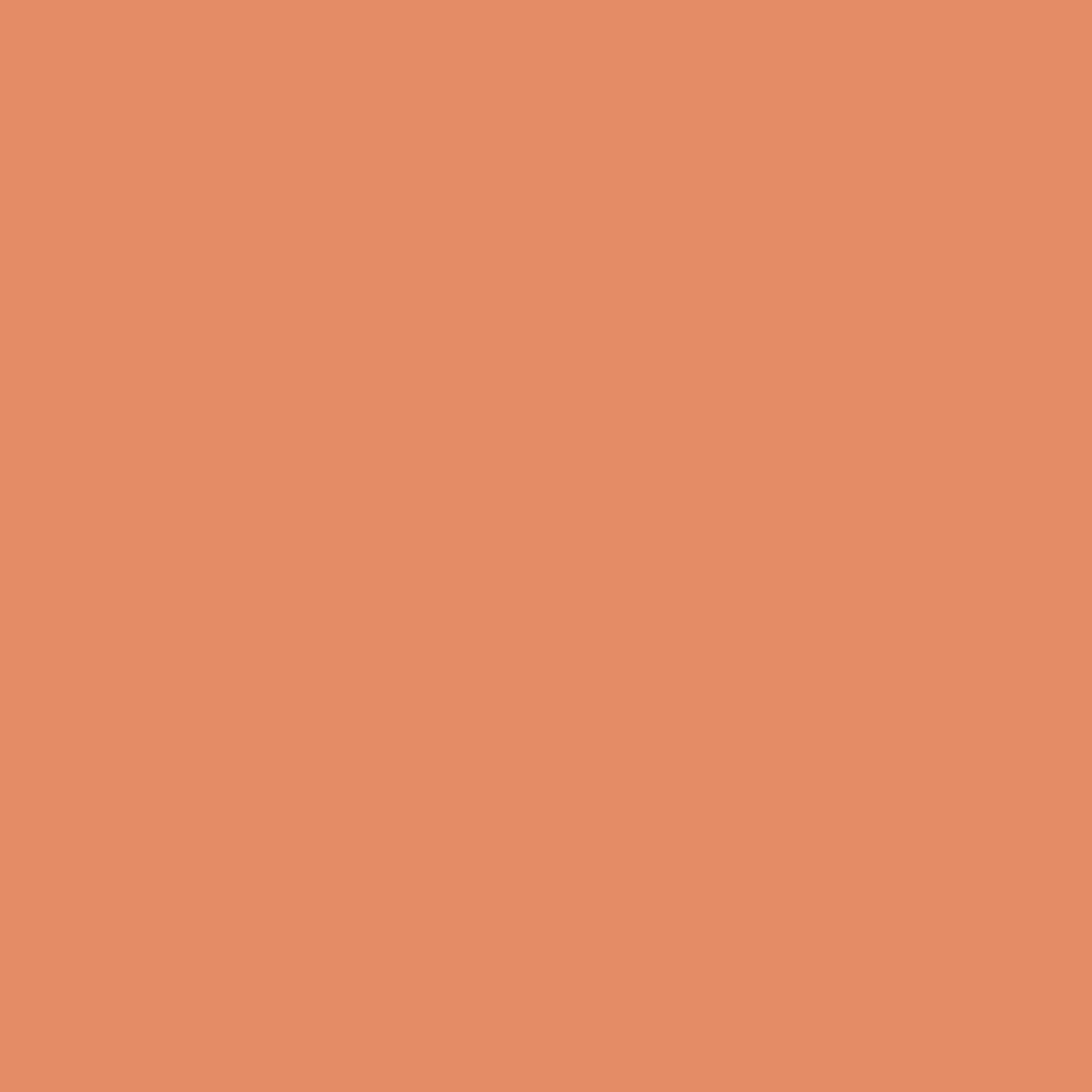 Sunforgettable® Total Protection® Color Balm SPF 50